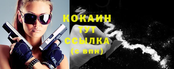 крисы Абаза