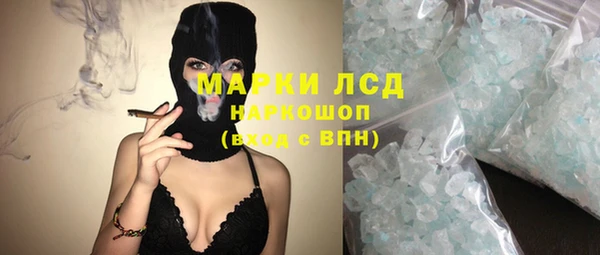 крисы Абаза