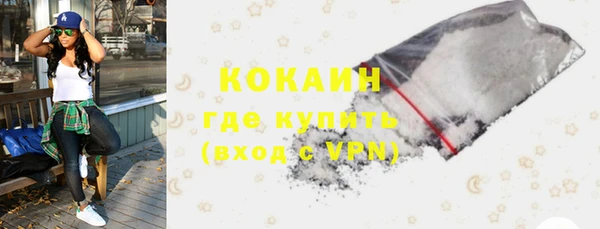 крисы Абаза