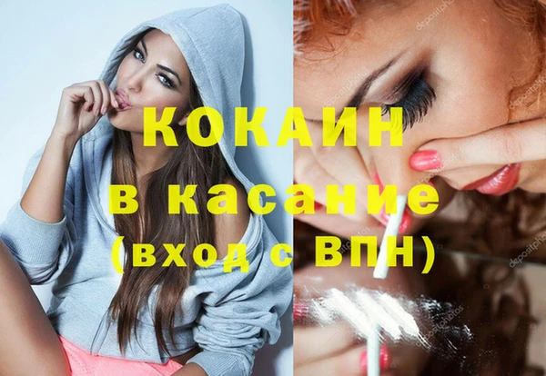 крисы Абаза