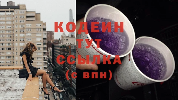 крисы Абаза