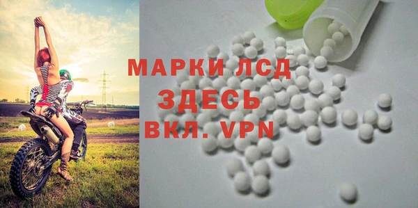 крисы Абаза
