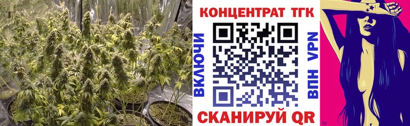 ТГК жижа  KRAKEN tor  Ермолино 